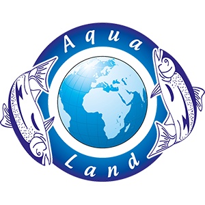 أحد عملاء ويب بايونير